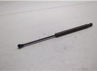  Амортизатор крышки багажника Nissan Titan 2003-2007 20288552 #1