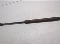  Амортизатор крышки багажника Nissan Titan 2003-2007 20288552 #2