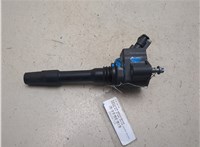 12138643360 Катушка зажигания BMW X1 (F48) 2019-2022 20288739 #4