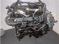 101029W2AD Двигатель (ДВС) Nissan Murano 2002-2008 20288849 #13
