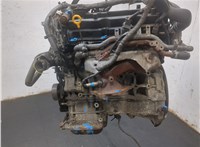 101029W2AD Двигатель (ДВС) Nissan Murano 2002-2008 20288849 #16