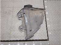  Защита арок (подкрылок) Skoda Rapid 20289124 #1