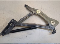  Петля капота Ford Mustang 2014-2017 20289238 #3