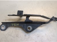  Петля капота Ford Mustang 2014-2017 20289254 #1