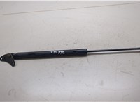  Амортизатор крышки багажника Volkswagen Tiguan 2011-2016 20289317 #1