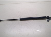  Амортизатор крышки багажника Volkswagen Tiguan 2011-2016 20289319 #1