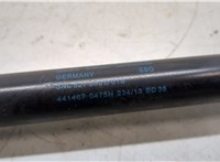  Амортизатор крышки багажника Volkswagen Tiguan 2011-2016 20289319 #2