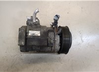  Компрессор кондиционера Toyota Previa (Estima) 2000-2006 20289504 #1