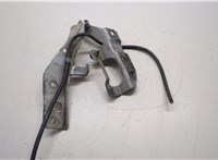  Петля капота Nissan X-Trail (T30) 2001-2006 20290019 #3