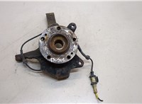  Ступица (кулак, цапфа) Renault Laguna 2 2001-2007 20290250 #1