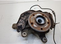  Ступица (кулак, цапфа) Mercedes Vito W639 2004-2013 20290688 #1