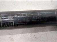  Амортизатор крышки багажника Mazda CX-9 2016- 20290984 #5