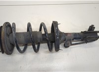  Амортизатор подвески Hyundai Santa Fe 2000-2005 20291148 #1