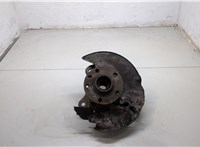  Ступица (кулак, цапфа) Volkswagen Transporter 5 2003-2009 20291152 #1