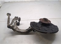  Ступица (кулак, цапфа) Audi A4 (B6) 2000-2004 20291333 #1