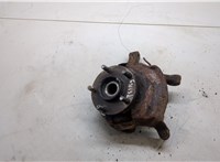  Ступица (кулак, цапфа) Nissan X-Trail (T30) 2001-2006 20291340 #1