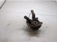  Ступица (кулак, цапфа) Nissan X-Trail (T30) 2001-2006 20291340 #2