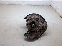  Ступица (кулак, цапфа) Volkswagen Transporter 5 2003-2009 20291507 #1