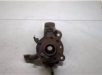  Ступица (кулак, цапфа) Volkswagen Transporter 5 2003-2009 20291525 #1