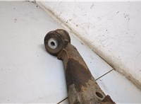  Ступица (кулак, цапфа) Volkswagen Transporter 5 2003-2009 20291596 #4