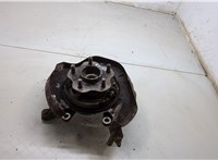  Ступица (кулак, цапфа) Nissan X-Trail (T30) 2001-2006 20291851 #2