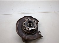  Ступица (кулак, цапфа) Nissan X-Trail (T30) 2001-2006 20291856 #1