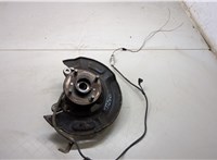  Ступица (кулак, цапфа) Nissan X-Trail (T30) 2001-2006 20291856 #3