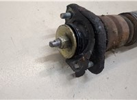  Амортизатор подвески BMW 3 E46 1998-2005 20292065 #2