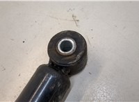  Амортизатор подвески BMW 3 E46 1998-2005 20292065 #4