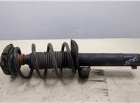  Амортизатор подвески Volkswagen Tiguan 2007-2011 20292305 #1