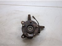  Ступица (кулак, цапфа) Ford Ka 2009-2016 20292703 #1