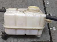  Бачок расширительный Chevrolet Aveo (T250 / 255) 2008-2011 20293468 #1