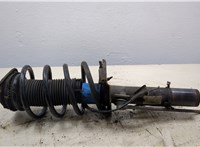  Амортизатор подвески Ford Focus 3 2014-2019 20293470 #1