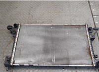  Радиатор охлаждения двигателя Chevrolet Volt 2010-2015 20293963 #1