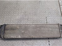  Радиатор интеркулера Opel Movano 2004-2010 20294471 #3
