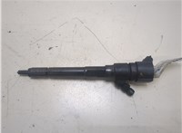 3380027800, 0445110254 Форсунка топливная Hyundai Santa Fe 2005-2012 20294523 #1