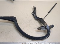  Петля крышки багажника Audi A6 (C7) 2011-2014 20294759 #1