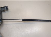  Петля крышки багажника Audi A6 (C7) 2011-2014 20294759 #3