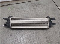  Радиатор интеркулера Land Rover Discovery 4 2009-2016 20294806 #6