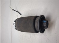 A1663200325 Пневмоподушка Mercedes GL X166 2012-2016 20295092 #7