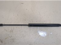  Амортизатор капота Dodge Journey 2011- 20295109 #1