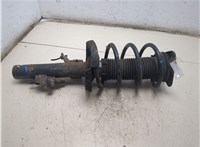 1595291, 4M5118045PBD Амортизатор подвески Ford Focus 2 2008-2011 20295241 #4