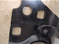  Петля капота Mercedes GL X166 2012-2016 20295275 #3