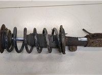  Амортизатор подвески Chevrolet Captiva 2006-2011 20295280 #1