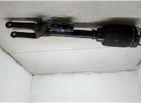 A1643205813 Амортизатор подвески Mercedes GL X164 2006-2012 20295429 #2
