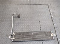 Радиатор масляный Volkswagen Touareg 2007-2010 20295434 #1