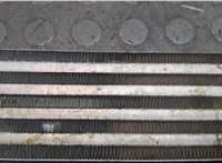  Радиатор масляный Volkswagen Touareg 2007-2010 20295489 #2