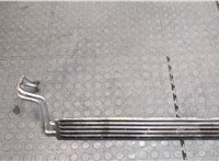  Радиатор масляный Volkswagen Touareg 2007-2010 20295489 #3