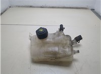  Бачок расширительный Renault Megane 3 2009-2016 20295932 #1