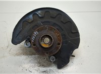  Ступица (кулак, цапфа) Volkswagen Passat 8 2015- 20296265 #1